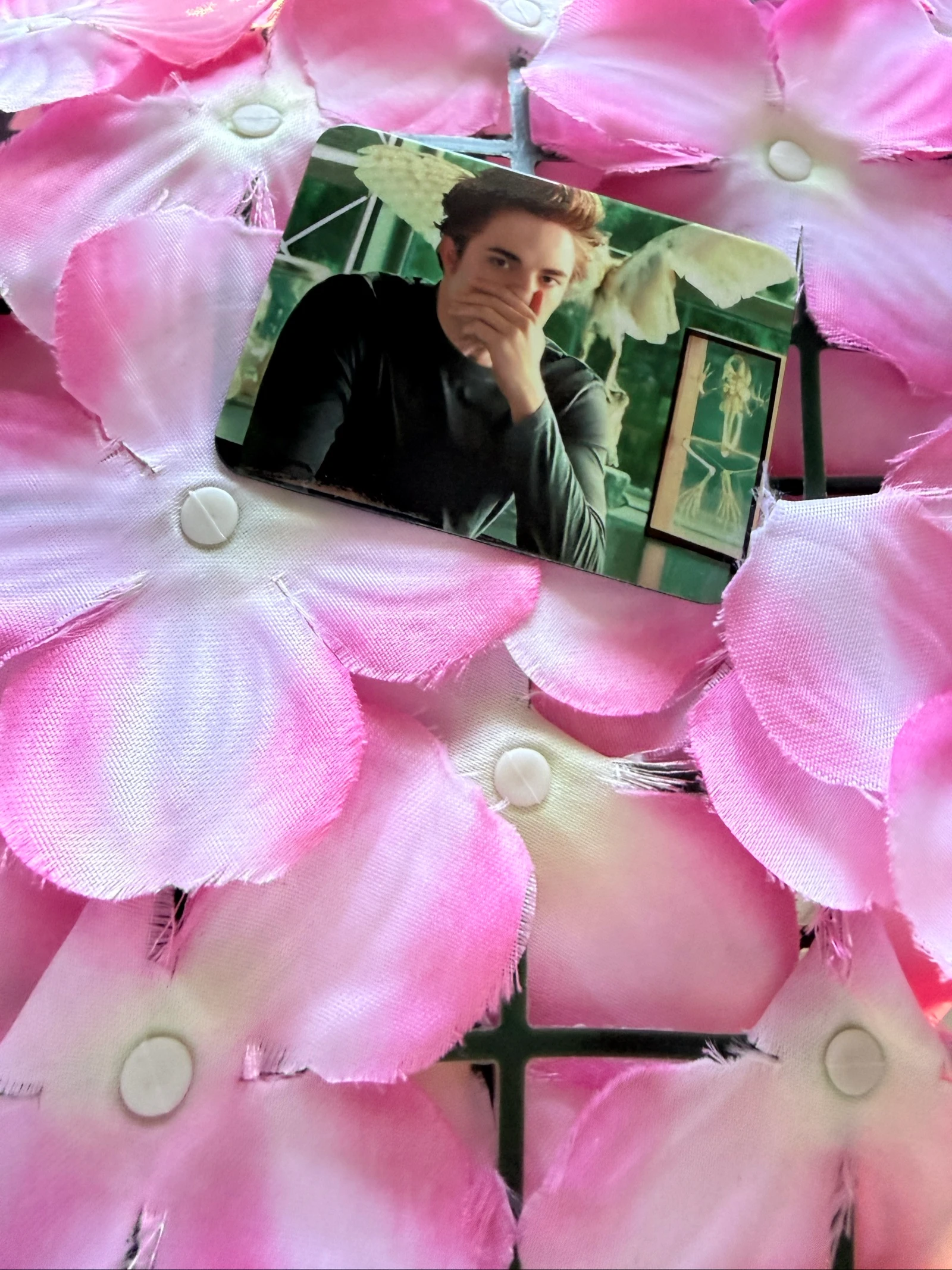Imã Edward Cullen – photo 3